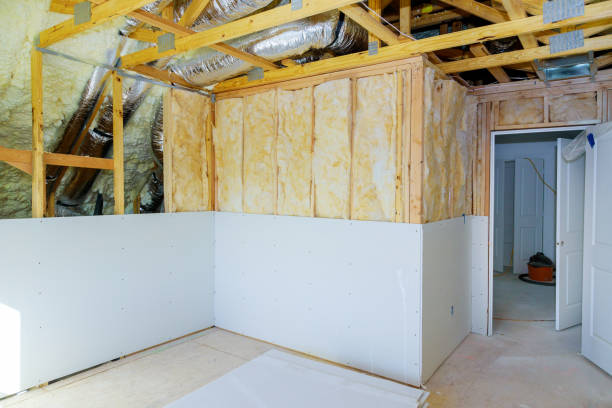 Eco-Friendly or Green Insulation Solutions in Bothell, WA